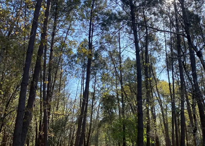 Semesterbostad Maison